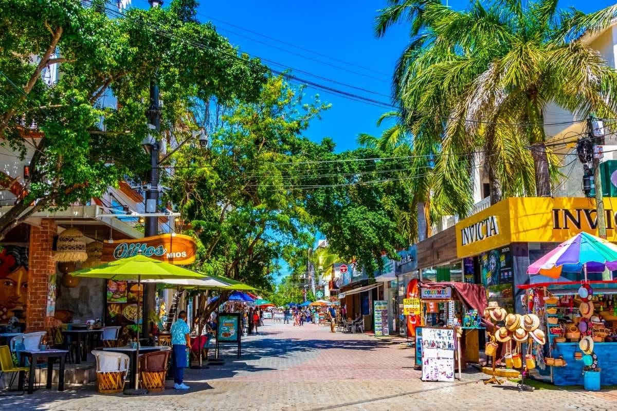 Playa Del Carmen street view with palm trees